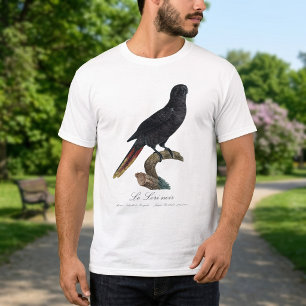T-shirt Lori noir ou Lori à bec rouge, Chalcopsitta atra