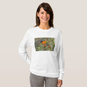 T-shirt Loriole de Baltimore (Devant entier)