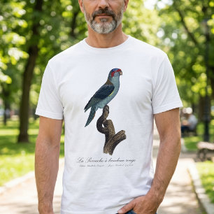 T-shirt Loriquet à tête bleue, Trichoglossus concinnus