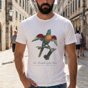 T-shirt Loriquet à tête bleue, Trichoglossus haematodus