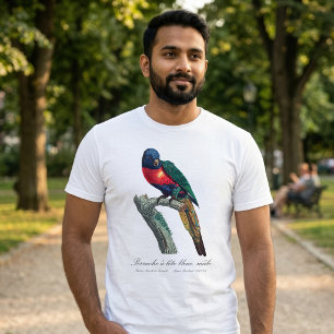 T-shirt Loriquet arc-en-ciel mâle, Trichoglossus moluccanu