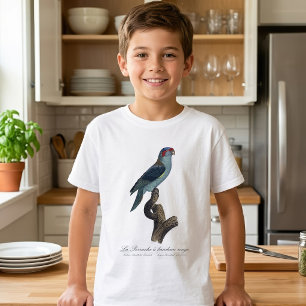 T-shirt Loriquet musk, Trichoglossus concinnus