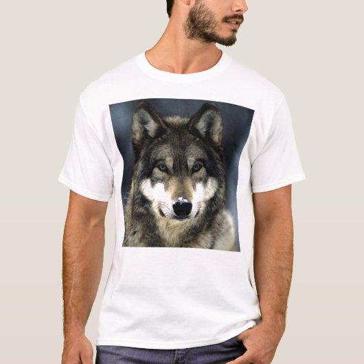 T-shirt Loup (Devant)