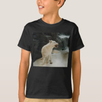 Loup blanc