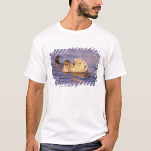 T-shirt Loutres de mer, Enhydra lutris