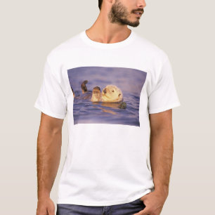 T-shirt Loutres de mer, Enhydra lutris