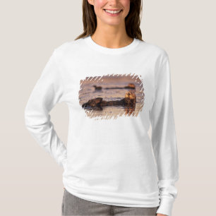 T-shirt Loutres de mer, Enhydra lutris 3