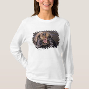 T-shirt Loutres de mer, Enhydra lutris 6