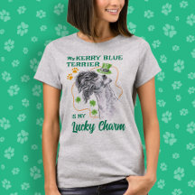 Lucky Charm Kerry Blue Terrier Irlandais Chien mam