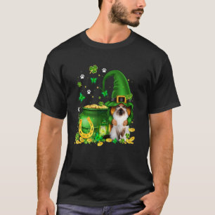 T-shirt Lucky Gnome U2013 Gnome Hug Birman Cat St patrick