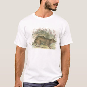 T-shirt Lydekker - Thylacine - Tigre de Tasmanie