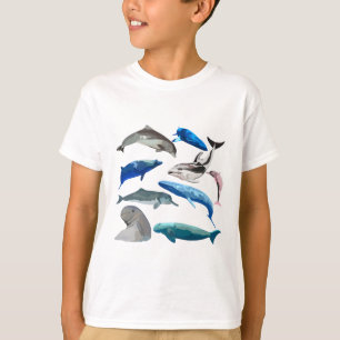 T-shirt M est destiné aux mammifères marins