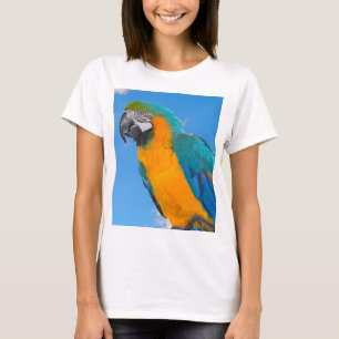 T-shirt Macao bleu et jaune