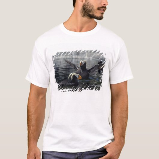 T-shirt Macareux à corne d'Alaska (Devant)