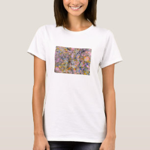 T-shirt Magie féerique