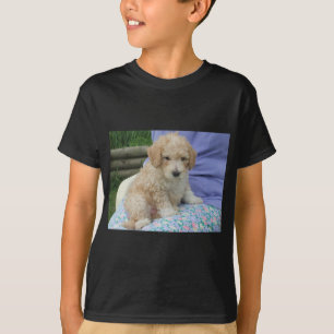 T-shirt Magnifique chiot cavapoo regardant vers vous, isol