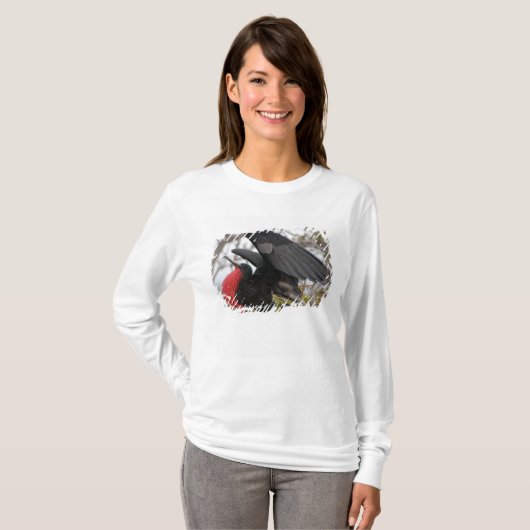 T-shirt Magnifique Frigate Bird (Devant entier)