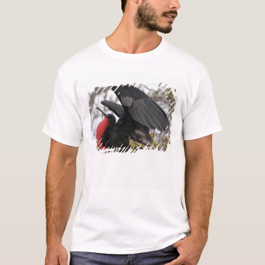 T-shirt Magnifique Frigate Bird (Devant)