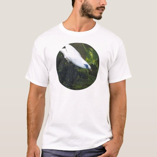 T-shirt Mainate de Bali (Devant)