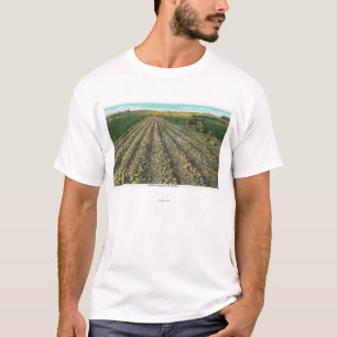 T-shirt MaineView d'une ferme de pomme de terre au Maine