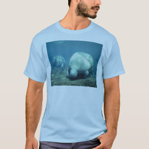 T-shirt Manatee