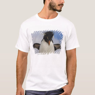 T-shirt Manchot de Hoppe Eudyptes chrysocome