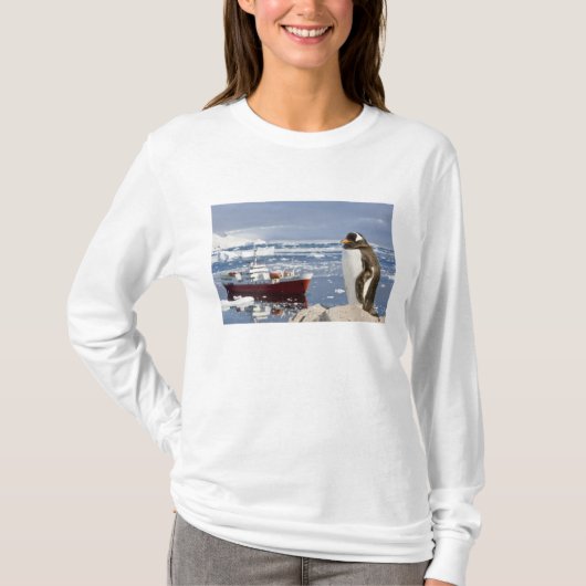 T-shirt Manchot papou (Devant)