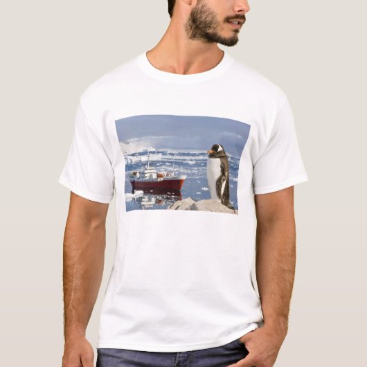 T-shirt Manchot papou (Devant)