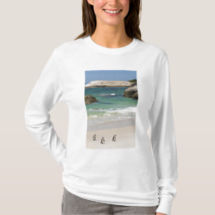 T-shirt Manchots à Boulders Beach, Simons Town, Afrique du
