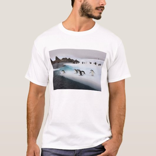 T-shirt Manchots à jugulaire (Devant)