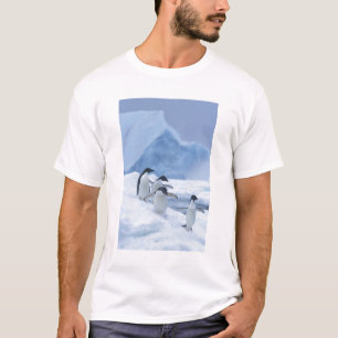T-shirt Manchots Adélie (Pygoscelis adeliae) sur la glace,