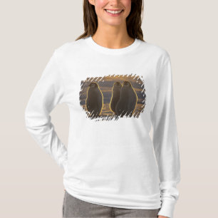 T-shirt Manchots empereurs