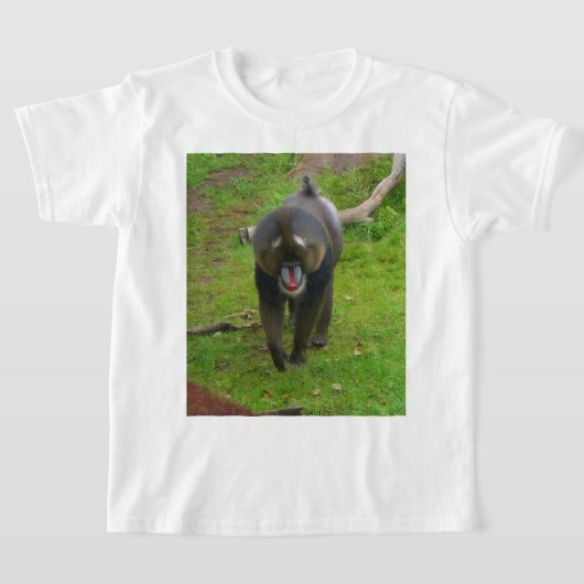 T-shirt Mandrill (Poser)