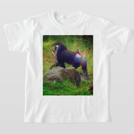 T-shirt Mandrill #4 (Poser)