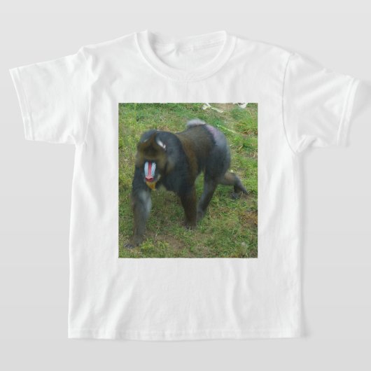T-shirt Mandrill #5 (Poser)