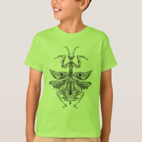 Mante de prière inspirée