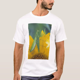 T-shirt Mante religieuse femelle