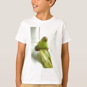 T-shirt Mantids