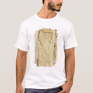 T-shirt Manuscrit cunéiforme sur un mur de palais