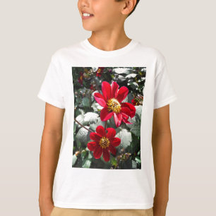 T-shirt marguerite rose chaud rouge / marguerites fleurs