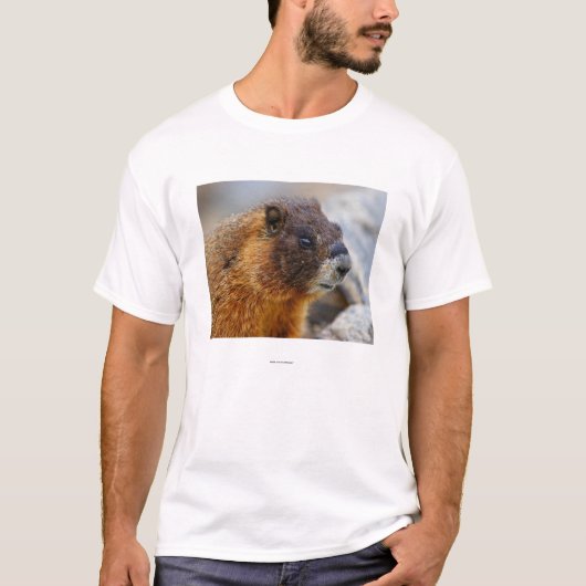 T-shirt Marmot (Devant)