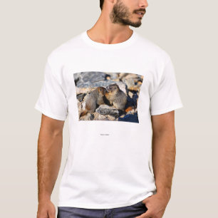 T-shirt Marmot