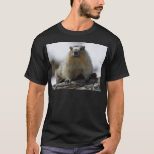 T-shirt Marmot gonflé par jaune