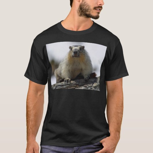 T-shirt Marmot gonflé par jaune (Devant)