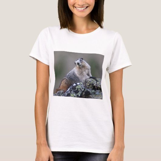 T-shirt marmotte (Devant)