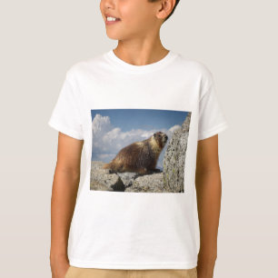 T-shirt Marmotte à ventre jaune en Yosemite