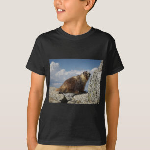 T-shirt Marmotte à ventre jaune en Yosemite
