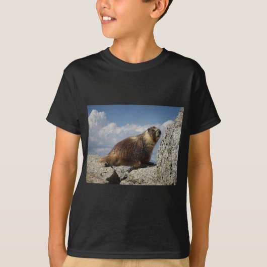 T-shirt Marmotte à ventre jaune en Yosemite (Devant)