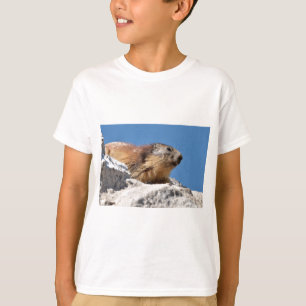 T-shirt Marmotte alpine sur roche