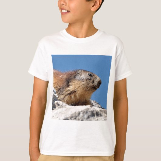 T-shirt Marmotte alpine sur roche (Devant)
